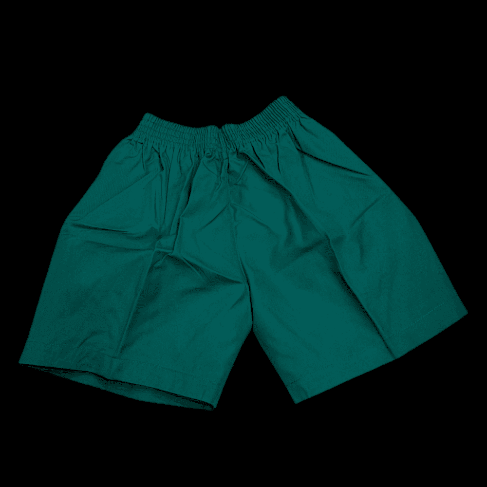 HPS Boys Sports Shorts - Image 4