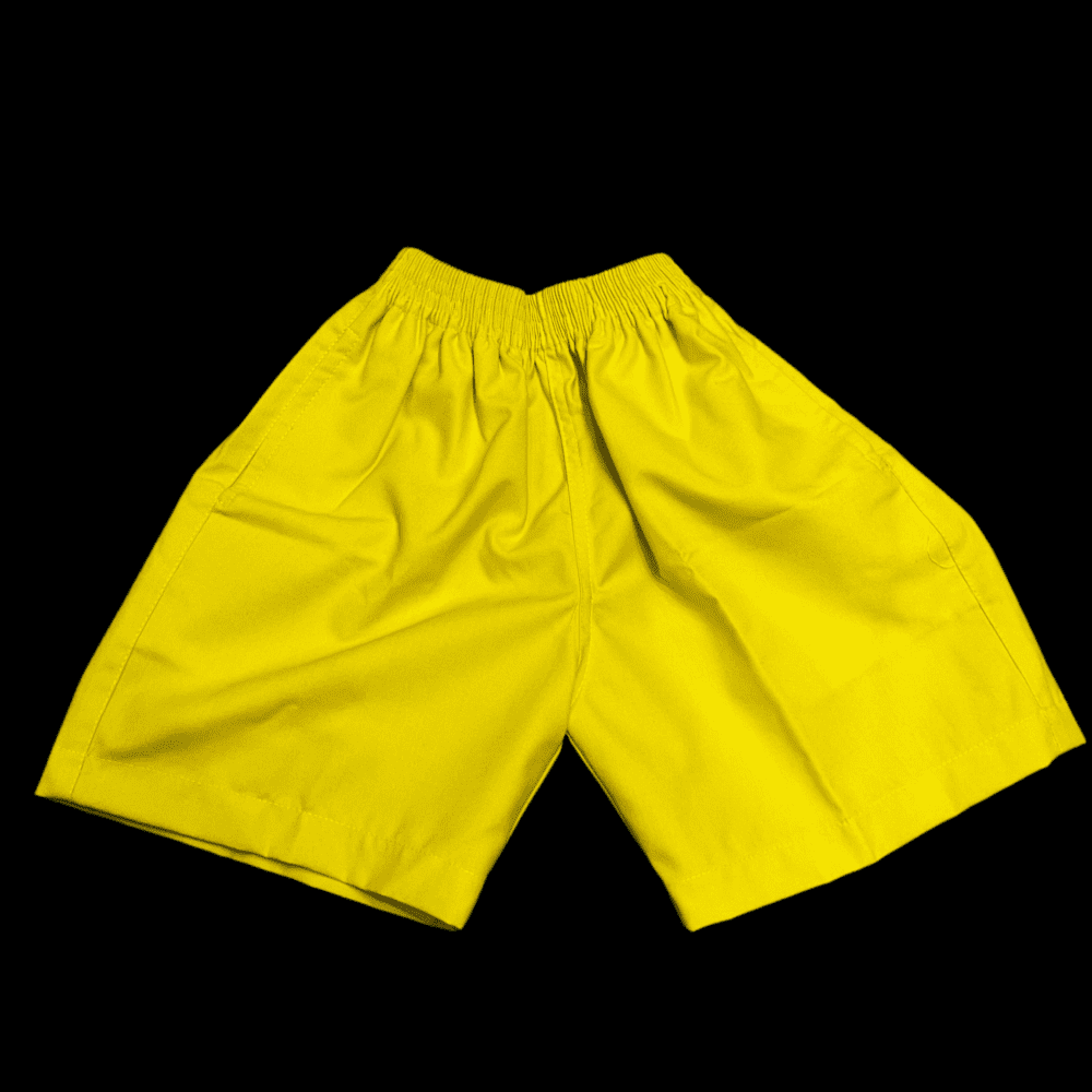 HPS Boys Sports Shorts - Image 7