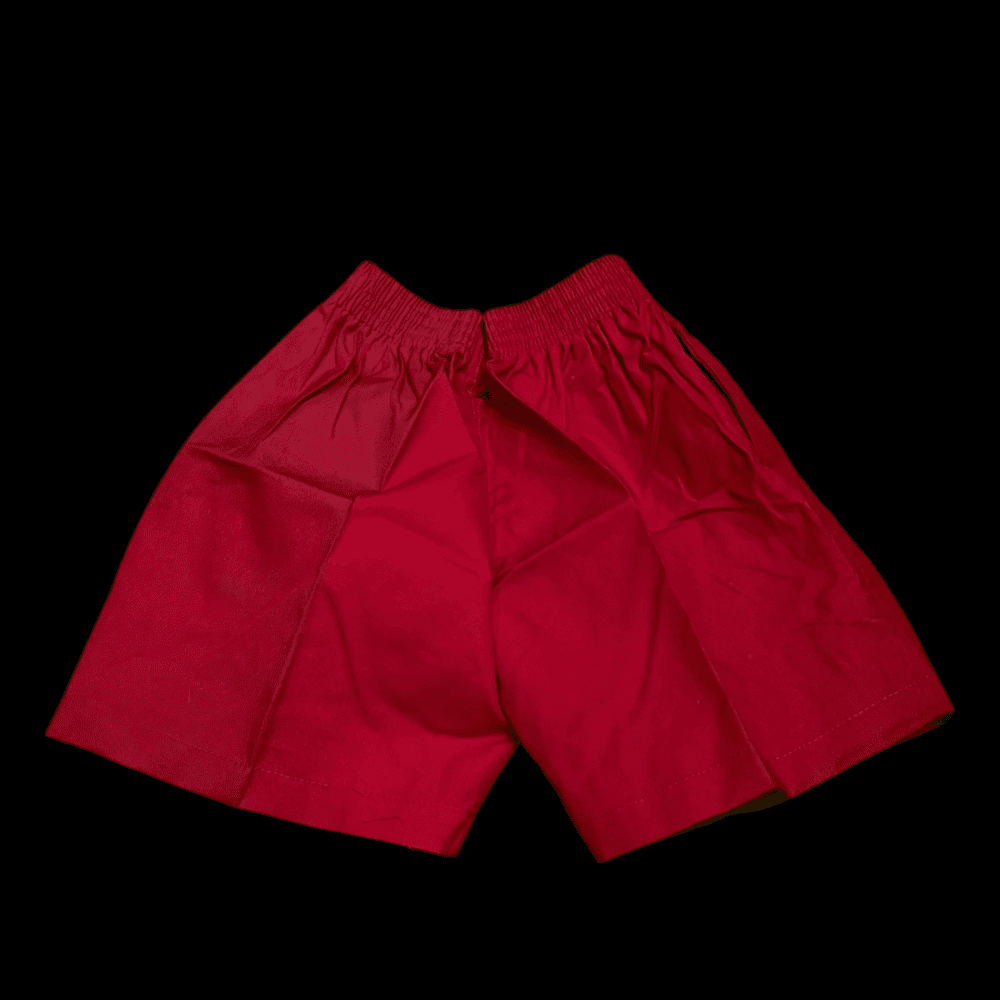HPS Boys Sports Shorts - Image 8